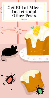 Everything You Need To Know About Keeping Mice Roaches And Other Pests Out Of Your Kitchen Getting Rid Of Mice Pests Kill Roaches
