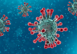 Le virus de la grippe a, b et c. InfecÈia Cu Coronavirus O Epidemie De Temut Sau Un Simplu Virus Gripal