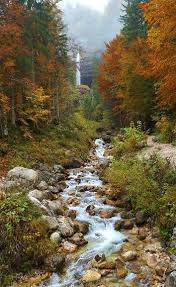 Your best option is to gather fresh water in the forest; Pin On Spectacular Landscapes