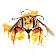 I usually don't do tutorials or any sort of teaching videos because i am self taught and don't feel qualified. Watercolour Bee Painting Kieran O Connor Paintings Prints Animals Birds Fish Bugs Insects Bee Wasp Artpal