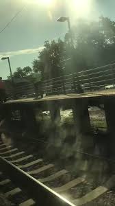 @AndrewScheckner's video Tweet