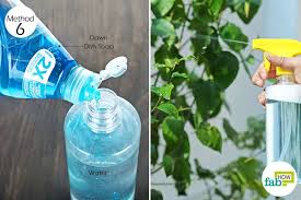 Soapy water with baking soda and vinegar How To Make Diy Organic Pesticide 7 Recipes That Work Fab How
