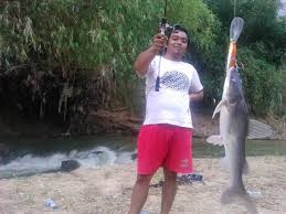 Ikan nila juga dapat dengan mudah memijah secara. Cara Memancing Ikan Baung Di Siang Hari Gunakan Teknik Ampuh Ini Mancingikan Net 2021 Mancingikan Net 2021