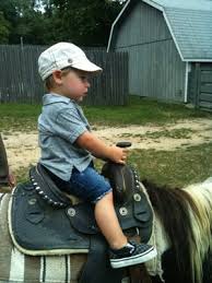 Make your visit suitable to your interest, use manorville trip planner for personalization. Animal Farm Petting Zoo 296 Wading River Rd Manorville Ny Zoos Mapquest