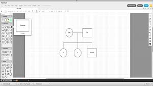 Lucidchart How To Create A Simple Family Tree