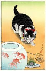 koson ohara chat fond orange illustration de chat chat japonais estampe japonaise