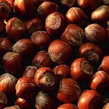 Barcelona Filbert Hazelnut Hazelnut Tree Fruit Bearing Trees Edible Landscaping