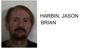 Homeless Man Found Hiding in Woods Behind Home