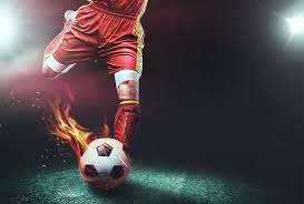 금강일보 공시가격 인상 후폭풍, 다가오는 세금 '샌프란시스코 터줏대감' 최고령 수컷 침팬지 63세로 세상떠나. ì¶•êµ¬ì„ ìˆ˜ ì„±í­í–‰ ì‚¬ê±´ ë§¡ì€ ë²•ë¬´ë²•ì¸ í˜„ í™ˆíŽ˜ì´ì§€ ë§ˆë¹„ ì•„ì£¼ê²½ì œ