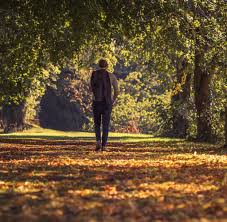 Diese spanne von genau drei monaten ist jedes jahr dieselbe der herbst aus meteorologischer sicht endet dann am 30. Herbstanfang In Diesem Jahr Sind Die Jahreszeiten Verschoben Welt