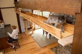 We did not find results for: I Catified My Friends House For Their 7 Cats Bored Panda