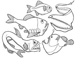 Download or print fish coloring pages for kids. Dangerous Deep Sea Fish Angler Fish Coloring Pages Angler Fish Fish Coloring Page Angler Fish Art