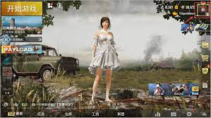 Pubg Mobile Midasbuy
