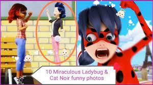 Touch device users can explore by touch or with. 10 Funny Photos Of Miraculous Ladybug And Cat Noir Never Pause Miraculous Miraculous Ladybug Youtube