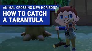 New Bugs And Fish In April Everything Arriving And Leaving This Month In Animal Crossing New Horizons Eurogamer Net