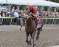 Image result for kentucky Derby