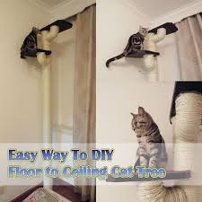 Diy Floor To Ceiling Cat Tree Cat Tree Plans Diy Cat Tower Diy Cat Tree