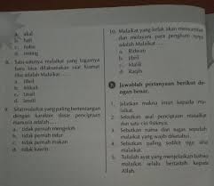 Malaikat izrail / maut (مَلَكُ الْمَوْتِ) seperti namanya, tugas utama malaikat izrail adalah mencabut nyawa seluruh makhluk hidup yang ada di dunia. Jawab Please Besok Dikumpulin Brainly Co Id