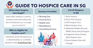 Home care or home health care is supportive care that is provided in the home. 62sto5gj6hkl0m