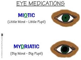 Image result for Mydriatic