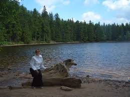 Lake Mummelsee Trip Advisor Photo Baden Baden