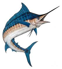 Great customer service and they always take care of your needs. 60 Blue Marlin Tattoo Ideas Meanings
