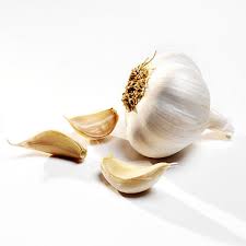 Image result for garlic  images