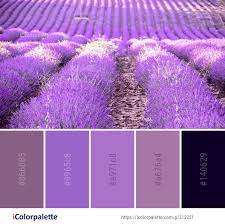 Color Palette Ideas Icolorpalette Colors Inspiration Graphics Design Inspiration Beaut Violet Color Palette Lavender Color Palette Purple Color Palettes