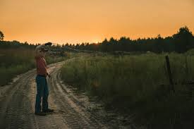 Take a sneak peak at the movies coming out this week (8/12) halsey releases 'if i can't have love, i want power' regular people react to movies out now Boy Lassoing While Standing Against Clear Sky During Sunset Stockphoto