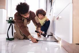 Check spelling or type a new query. How To Get Rid Of Roaches In Your Home Home Remedy To Kill Cockroaches Fast