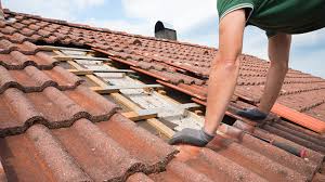 Green Roofs Are Trending, Expert Explains Why We're Loving Them and How  They Protect Your Home - BUILD Magazine