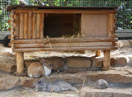 Es besteht aus verleimtem fichtenholz und wurde anschließend 2x eingewachst und hat. Kaninchenstall Fur Mehrere Kaninchen So Sollte Er Aussehen