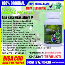 Untuk penyakit ringan seperti umum yang dapat dirasakan oleh semua tentu banyak biaya yang harus dikeluarkan demi untuk menyembuhkan penyakit berat (kronis) yang dideritanya misalnya seperti tumor, kanker. Jual Obat Epilepsi Kejang Kejang Terbaru Lazada Co Id