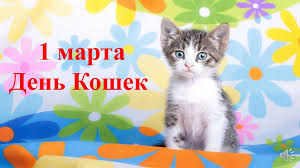 Уже завтра, 1 марта, можно будет поздравить своих мохнатых друзей с их замечательным праздником. 1 Marta Den Koshek Online Presentation