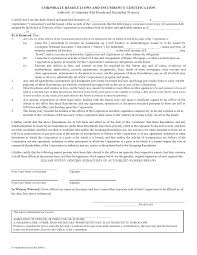 The certificate of good standing includes information about the company including Incumbency Certificate Form