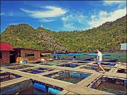 Langkawi, malaysia with steve g jones. A Floating Fish Farm Perspective Of Langkawi