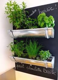Je Cree Un Jardin D Herbes Aromatiques Dans Ma Cuisine Jardin D Herbes Jardin D Herbes Aromatiques Herbes Aromatiques