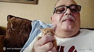 Oja our newly blind kitten.