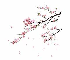 Cherry Blossom Tree Png Transparent Png Image For Free Download Explore More High Quality Free Png Image Cherry Blossom Art Blossoms Art Cherry Blossom Vector