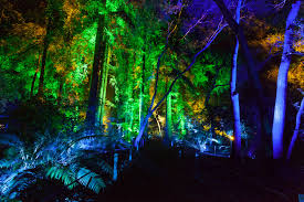 Maybe you would like to learn more about one of these? Enchanted Forest Of Light Is Bringing Magic Back To Descanso Gardens This Holiday