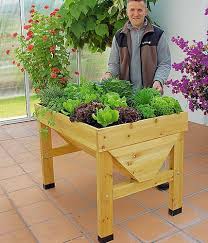 Hochbeet Bauen Und Bepflanzen So Geht S Hochbeet Gartenbepflanzung Bepflanzung