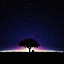 Check spelling or type a new query. The Dark Night 4k Wallpaper Engine Download Wallpaper Engine Wallpapers Free