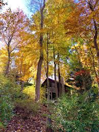 39 stockwood road ext asheville nc 28803. Fall In Asheville Nc Asheville Cabins Asheville Mountain Cabin