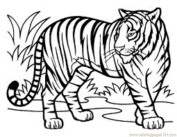 Download and print these tiger printable coloring pages for free. Tiger Coloring Pages Free Coloring Home