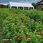 Summer Cut Flower Field Day