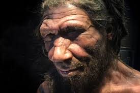 Evidence of Neanderthal Cannibalism Puzzles Researchers
