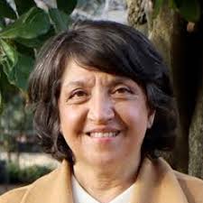 Rosa Devés se convirtió en una de las cuatro mujeres: Quiénes son las 30  autoridades educacionales que integran el CRUCH