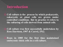 We did not find results for: Introduction To Animal Cell Culture Introduction Cell Culture