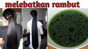 Jangan mengusap dan memeras rambut dengan handuk karena akan membuat rambutmu patah. Cara Melebatkan Memanjangkan Rambut Dengan Cepat Menggunakan Bayam Youtube