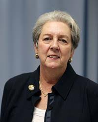 SHAPING PROFESSIONAL IDENTITY PROFESSIONAL IDENTITY IN NURSING